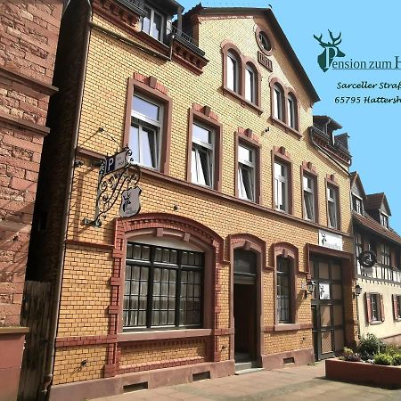 Hotel-Pension Zum Hirsch Hattersheim am Main Екстериор снимка